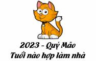 Xem tuổi sửa nhà năm 2023 (Quý Mão)