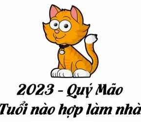Xem tuổi sửa nhà năm 2023 (Quý Mão)